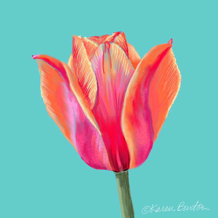 Karen Burton | Cheerful Tulip